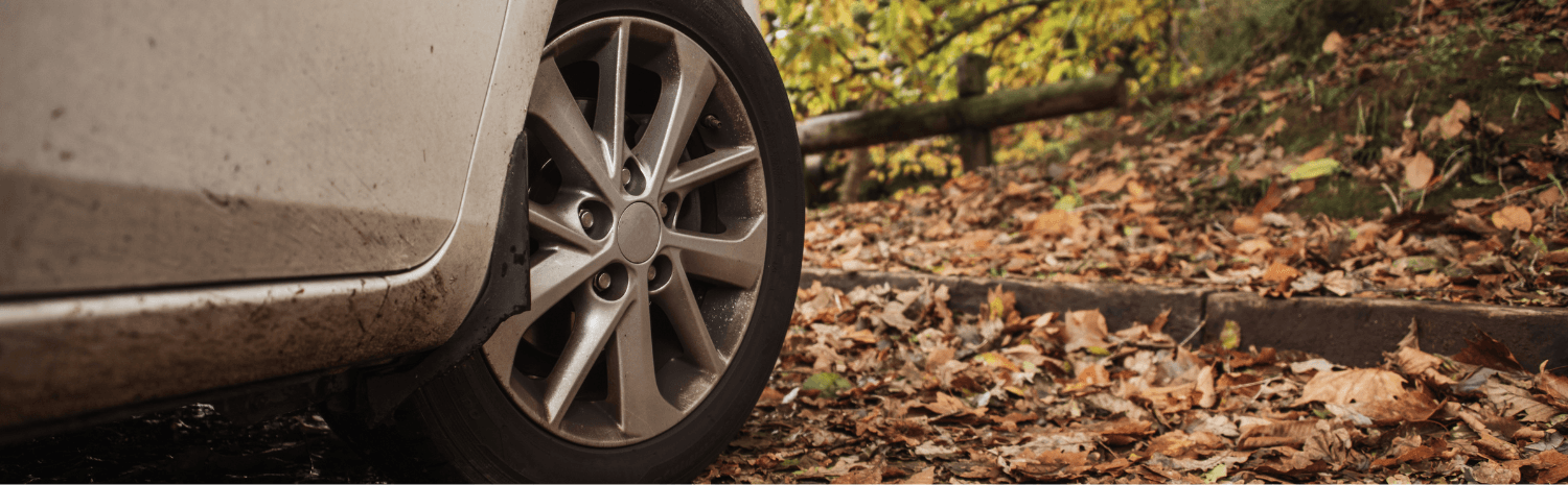 Tips om schade aan je auto te voorkomen tijdens de herfst