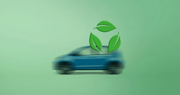 Bewust Groen Schadeherstel